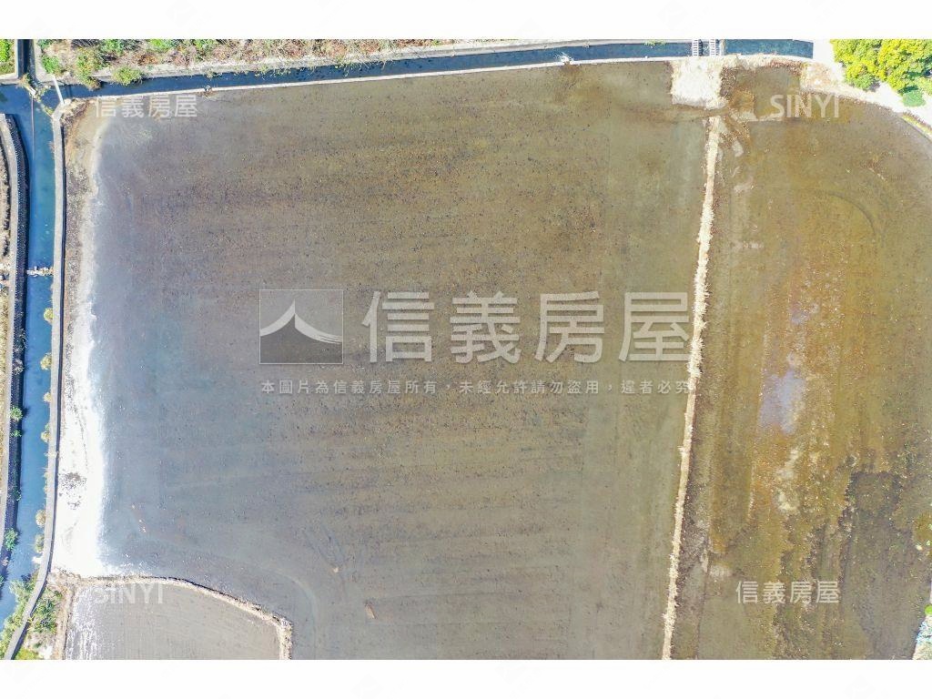 金馬報喜高鐵門戶特區農地房屋室內格局與周邊環境