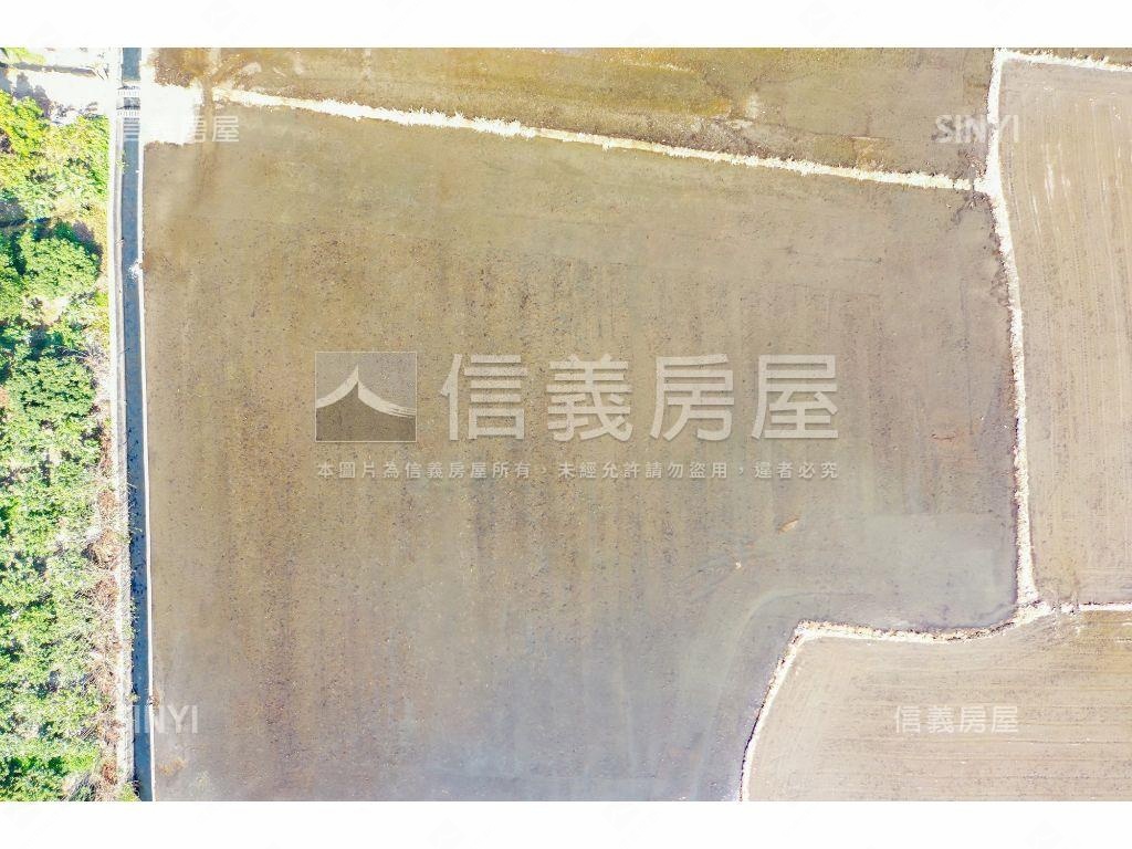 金馬報喜高鐵門戶特區農地房屋室內格局與周邊環境