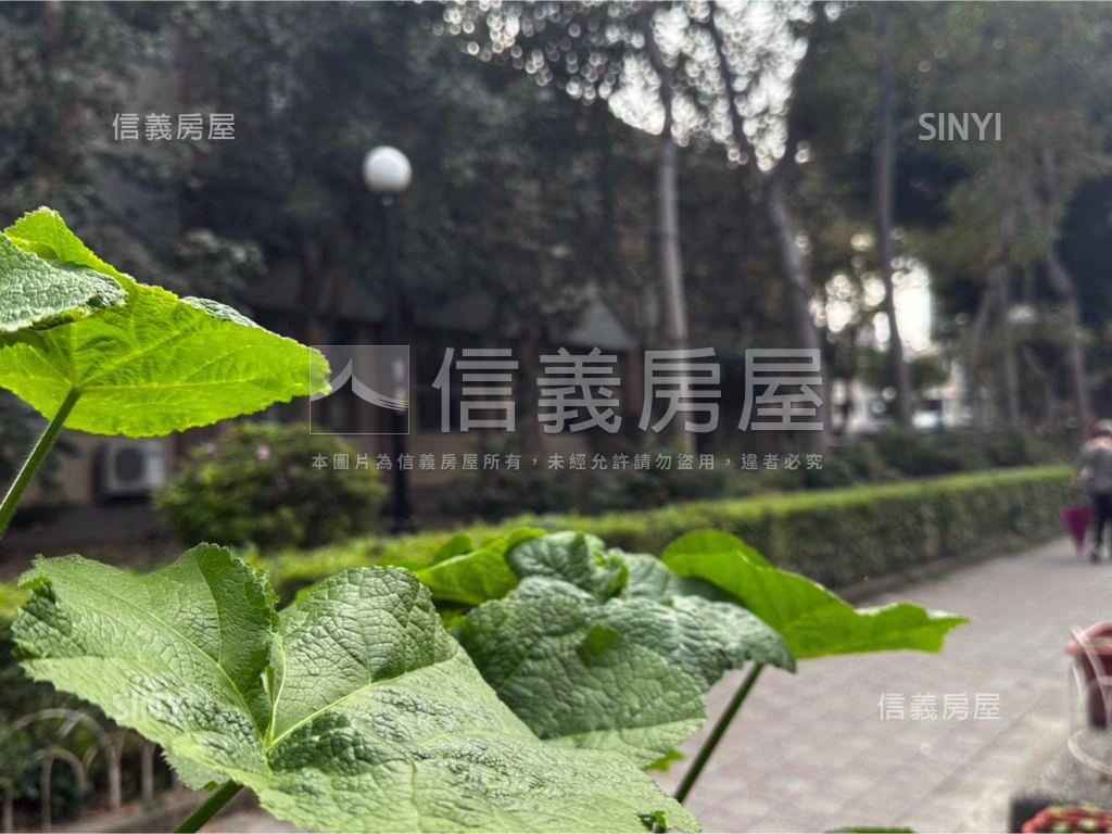 六張公園三樓房屋室內格局與周邊環境