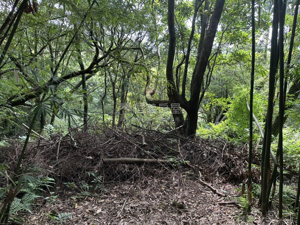 平菁街１４３７坪臨路土地房屋室內格局與周邊環境