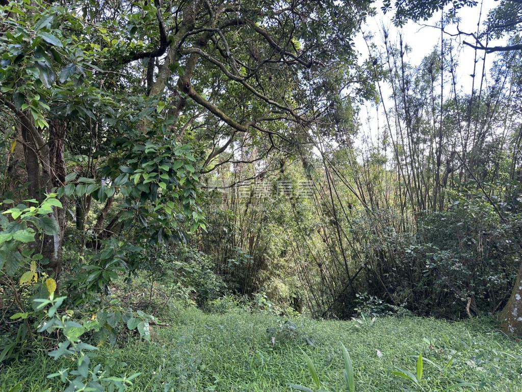 平菁街１４３７坪臨路土地房屋室內格局與周邊環境