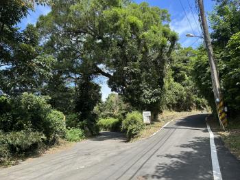 平菁街１４３７坪臨路土地