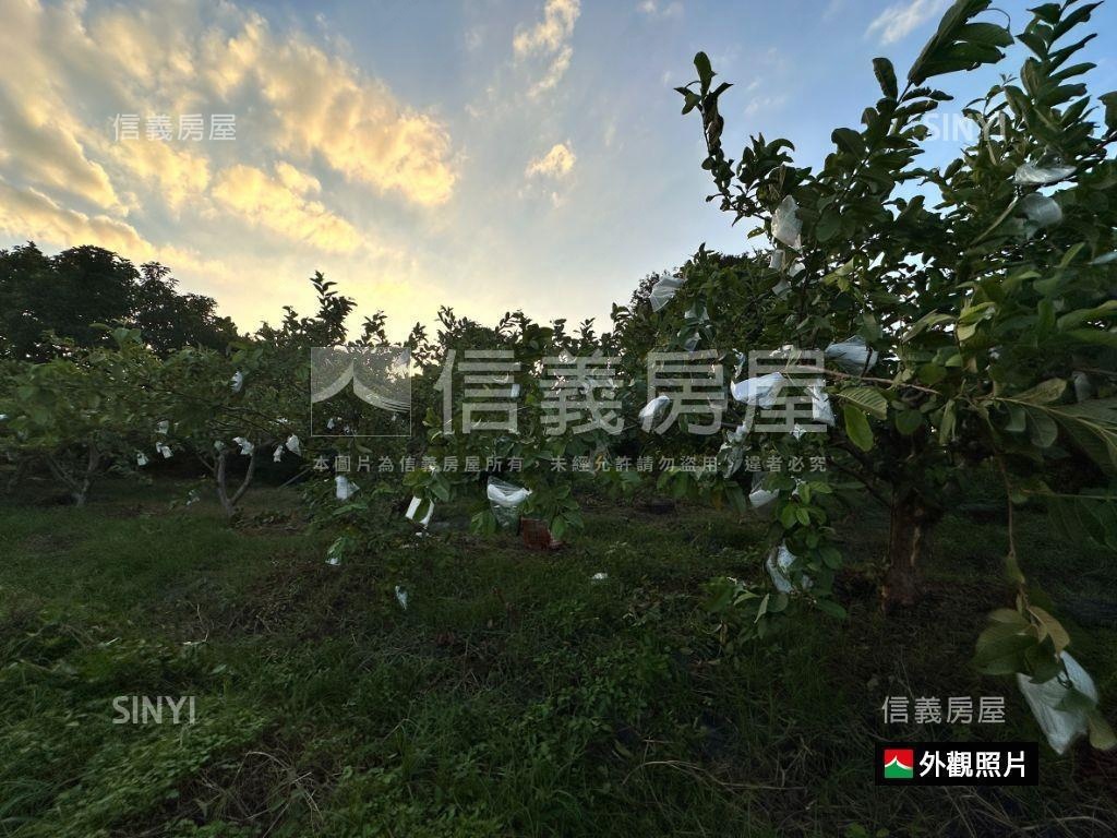 ★專☆芬園農舍房屋室內格局與周邊環境