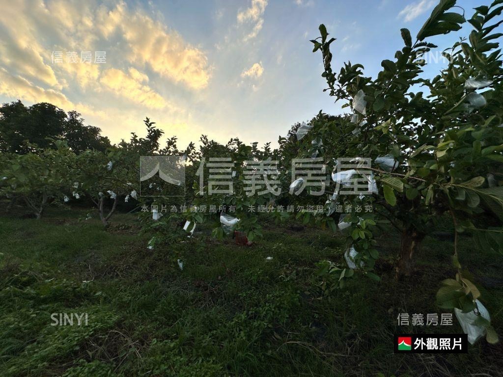 ★專☆芬園農舍房屋室內格局與周邊環境