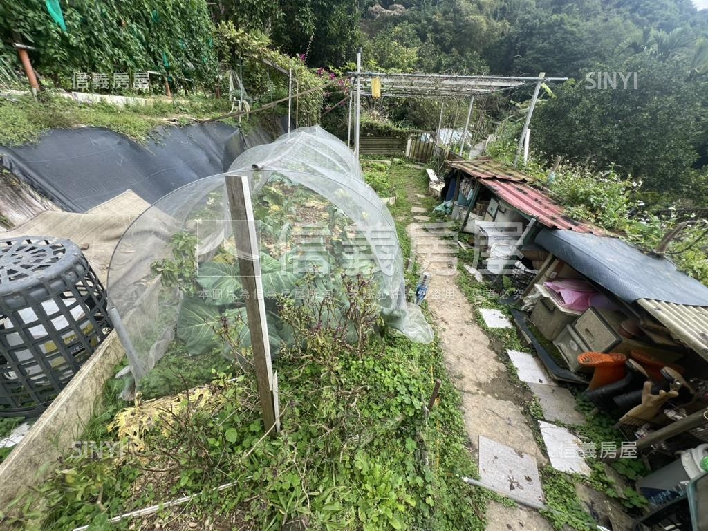 ⭐碧山段土地稀有釋出房屋室內格局與周邊環境