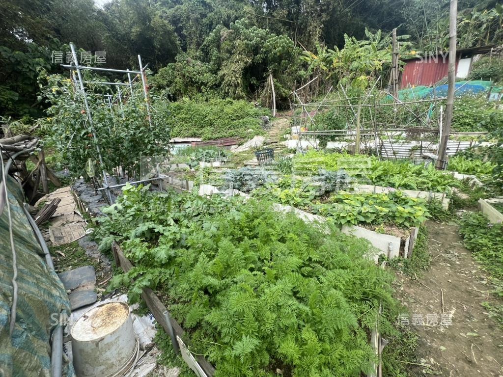 ⭐碧山段土地稀有釋出房屋室內格局與周邊環境