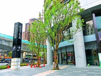 宏國綠大地庭院別墅