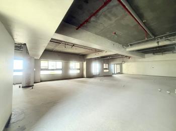 新光旁由鉅大謙毛胚豪邸