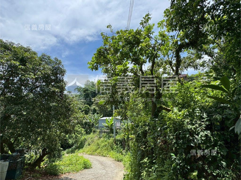實現你的地主夢房屋室內格局與周邊環境