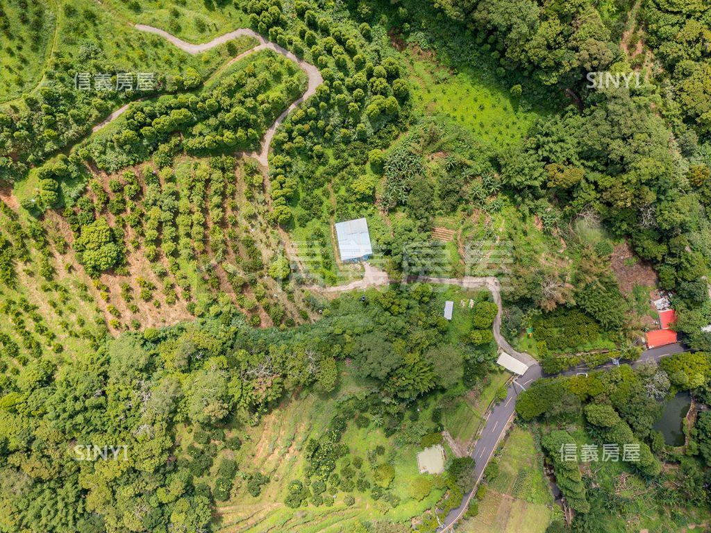 新竹侏儸紀果園土地持分房屋室內格局與周邊環境