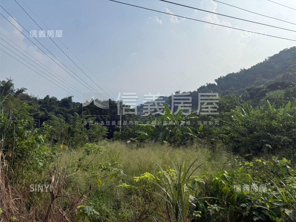 大坑大地坪土地房屋室內格局與周邊環境