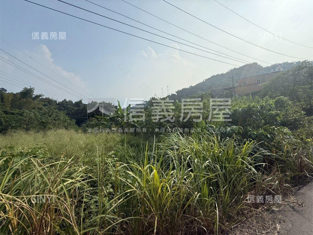 大坑大地坪土地房屋室內格局與周邊環境