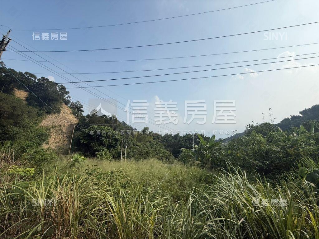 大坑大地坪土地房屋室內格局與周邊環境