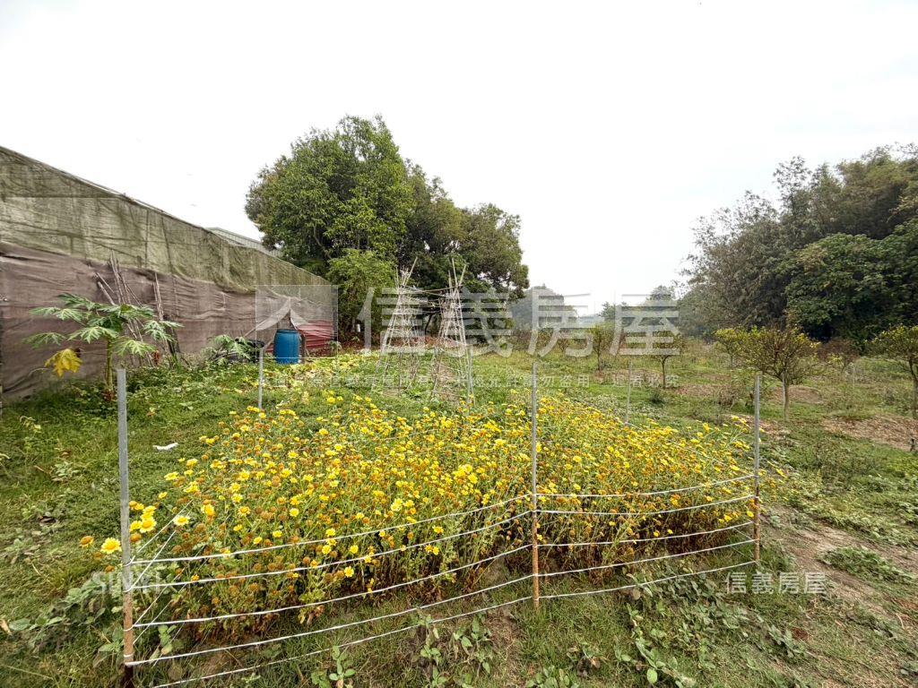 新化｜約２．５分開心農場房屋室內格局與周邊環境
