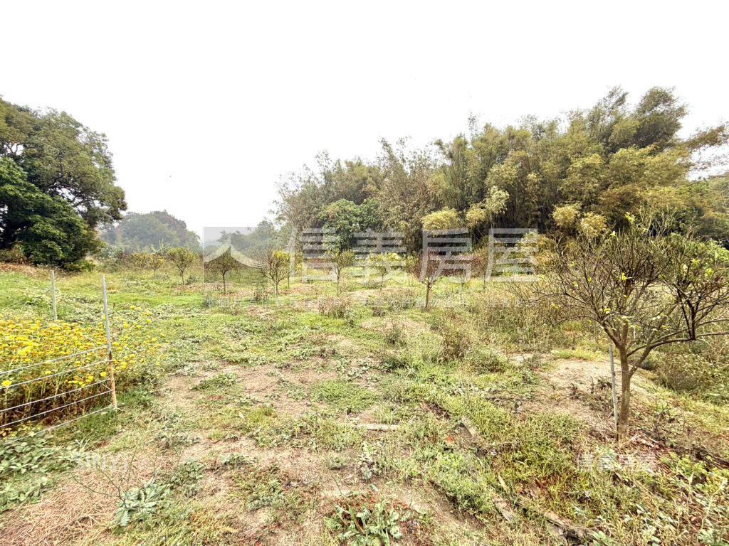 新化｜約２．５分開心農場房屋室內格局與周邊環境