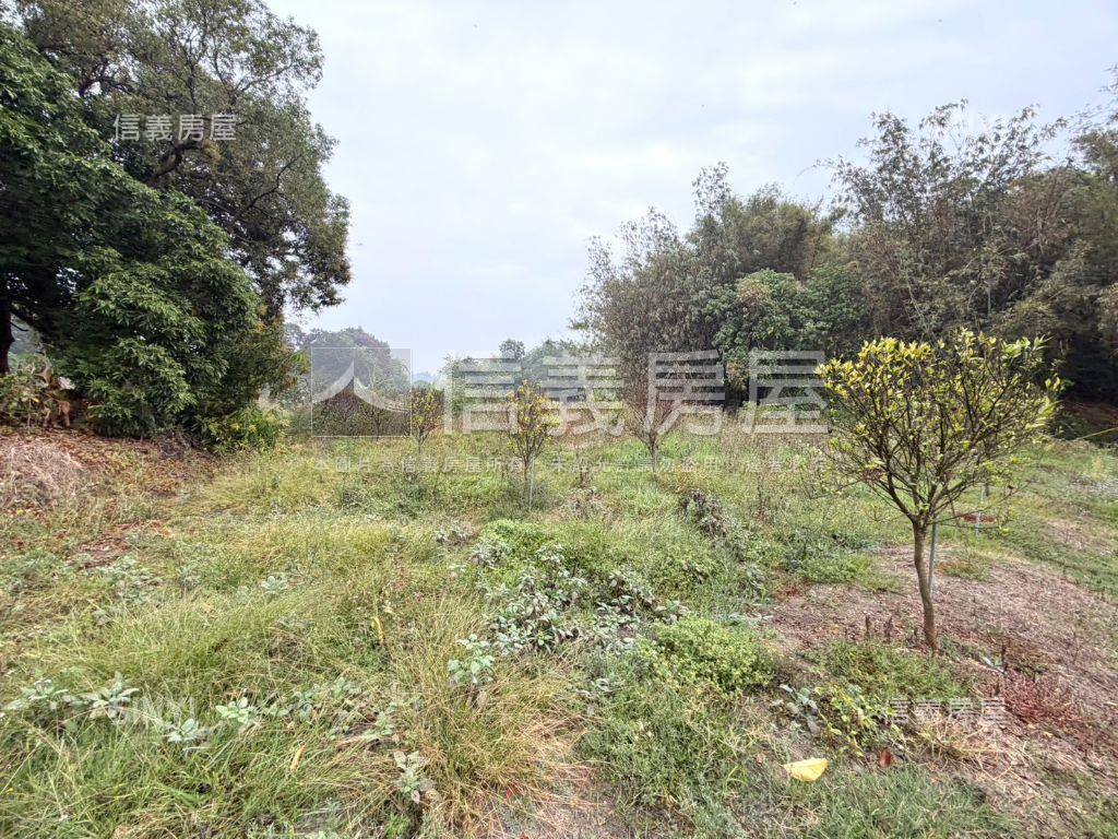 新化｜約２．５分開心農場房屋室內格局與周邊環境