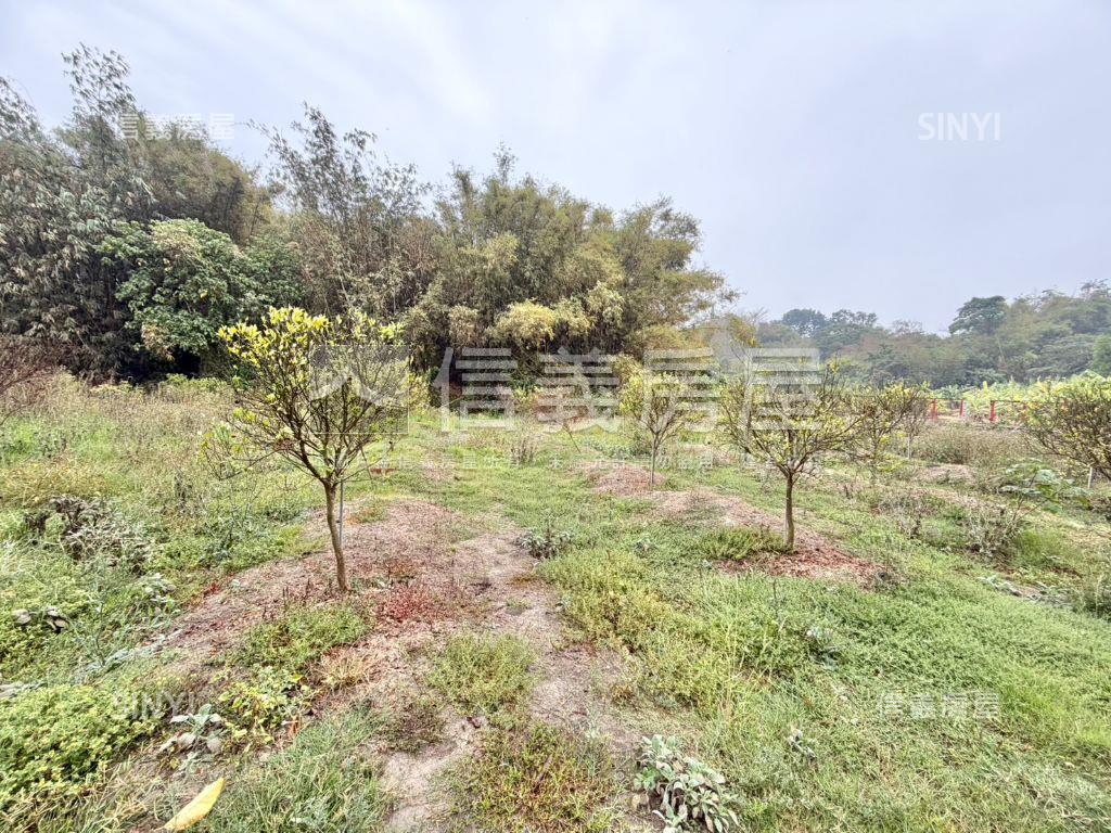 新化｜約２．５分開心農場房屋室內格局與周邊環境