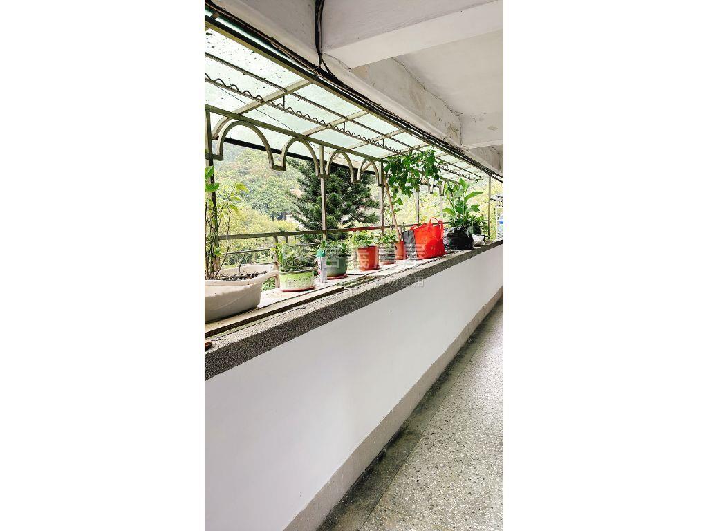 ✨信義美寓綠意盎然✨房屋室內格局與周邊環境