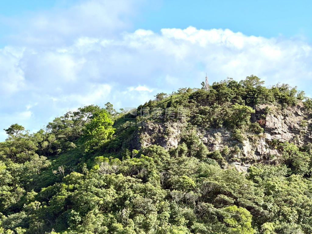 綠意盎然．大氣威靈頓房屋室內格局與周邊環境