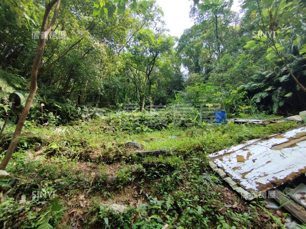 汐止區矽碇段土地房屋室內格局與周邊環境