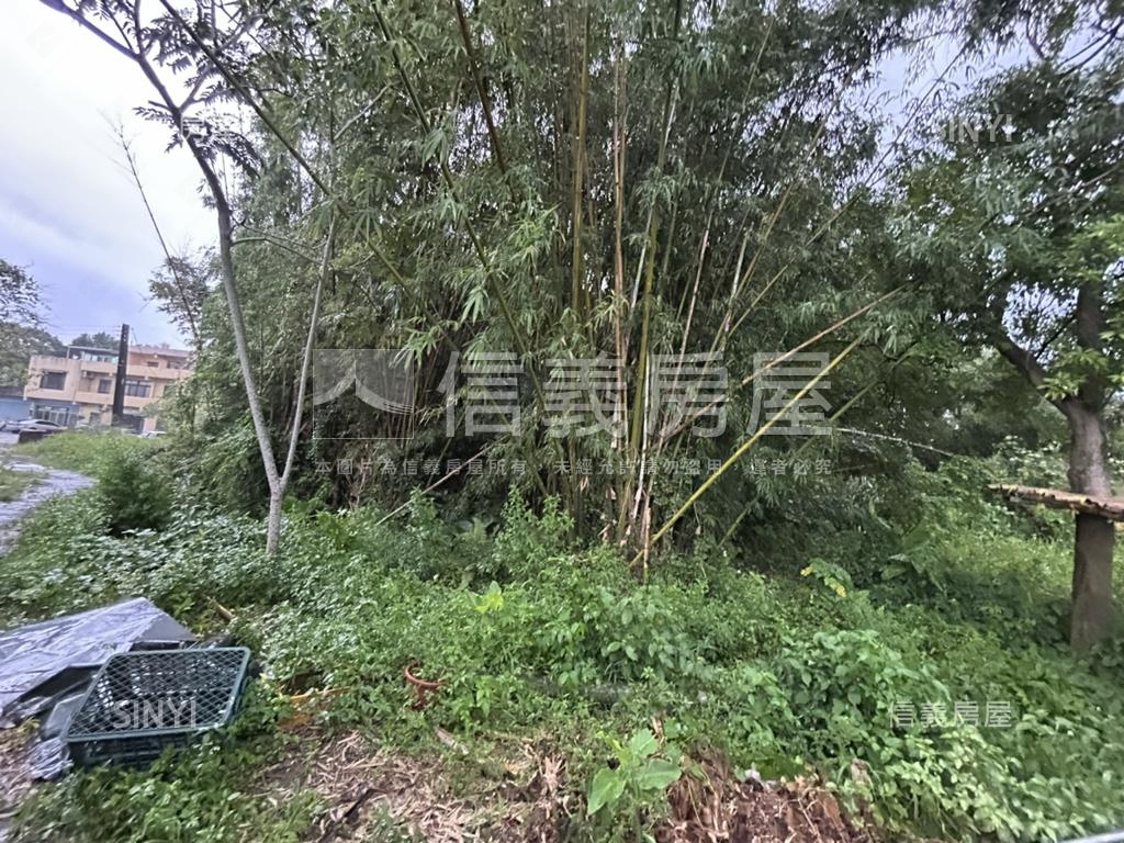 大溪土地房屋室內格局與周邊環境