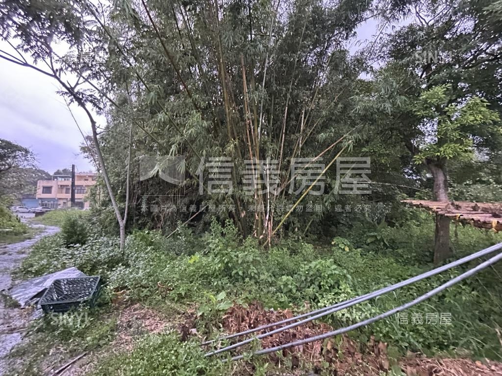 大溪土地房屋室內格局與周邊環境