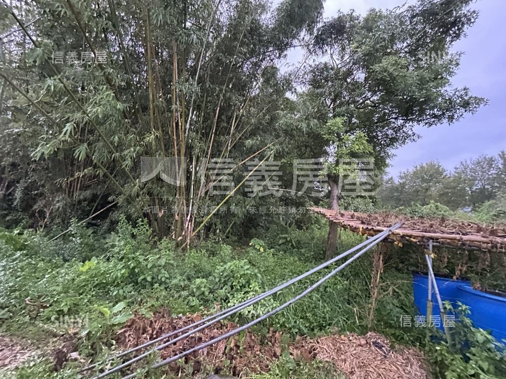 大溪土地房屋室內格局與周邊環境