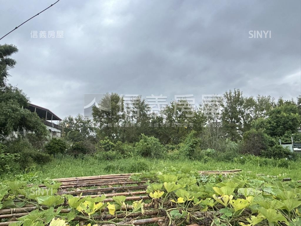 大溪土地房屋室內格局與周邊環境