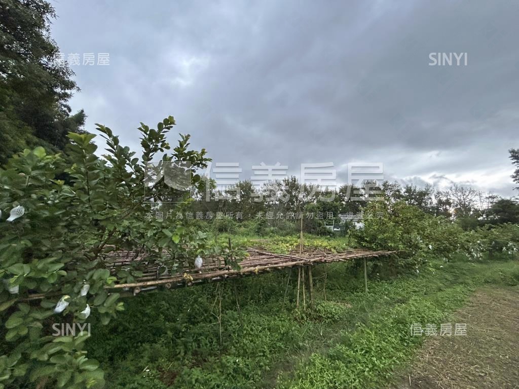 大溪土地房屋室內格局與周邊環境