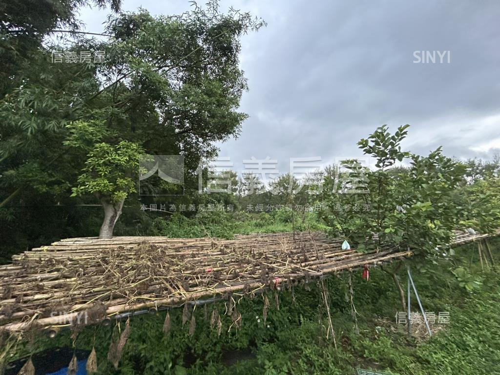 大溪土地房屋室內格局與周邊環境