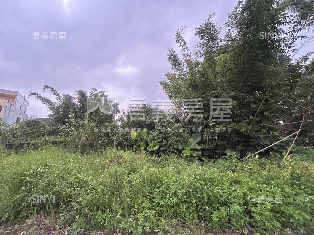 大溪土地房屋室內格局與周邊環境