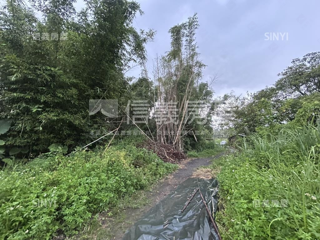 大溪土地房屋室內格局與周邊環境