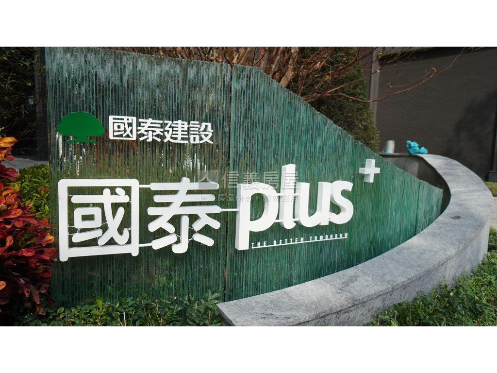 國泰ＰＬＵＳ黃金角店面２房屋室內格局與周邊環境