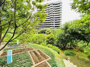 里御庭院大戶