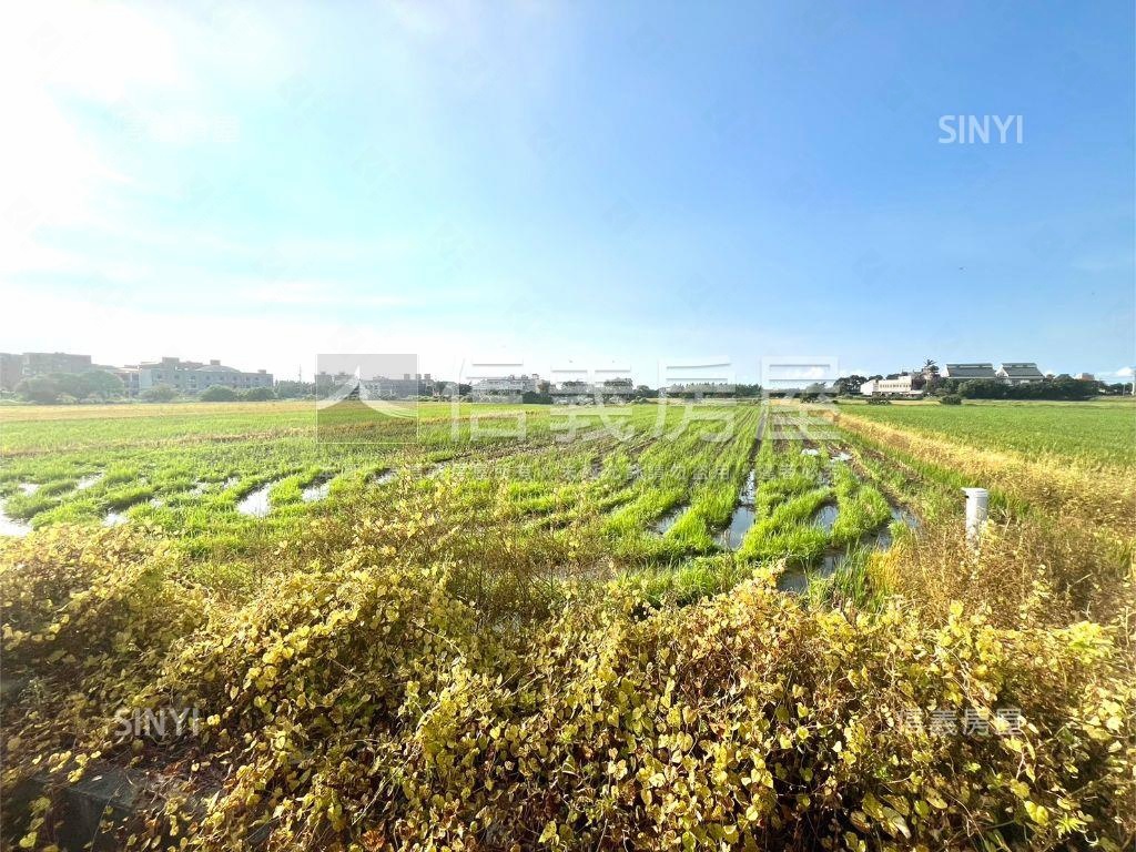 楊梅土地房屋室內格局與周邊環境