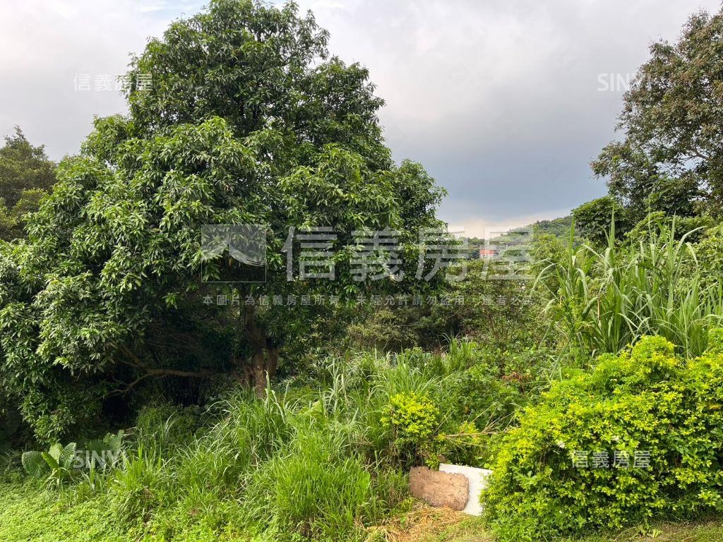 龜山大同段４１４持分地房屋室內格局與周邊環境