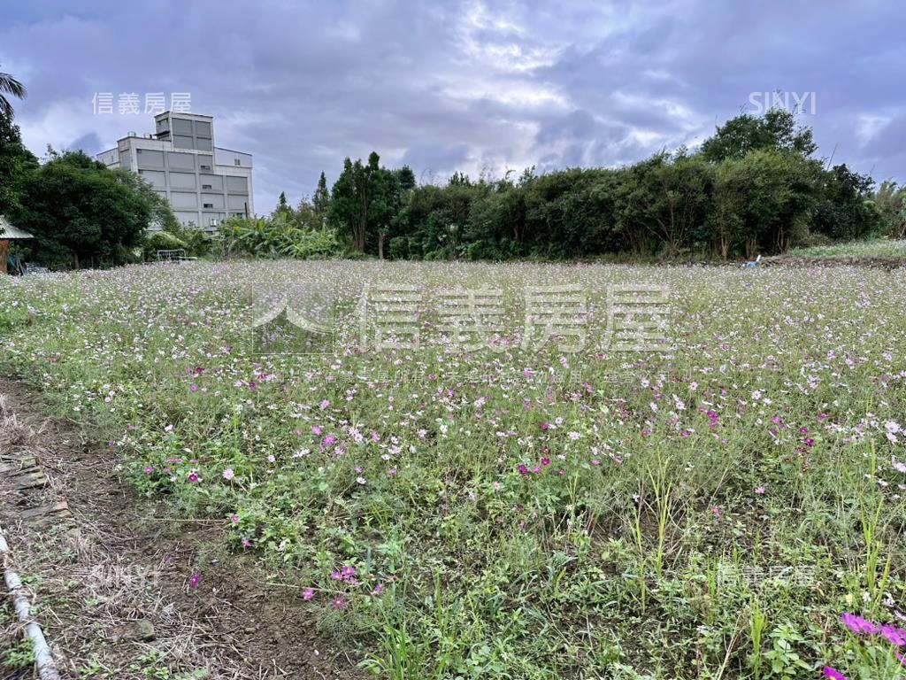 大溪石門大圳水岸農地二房屋室內格局與周邊環境