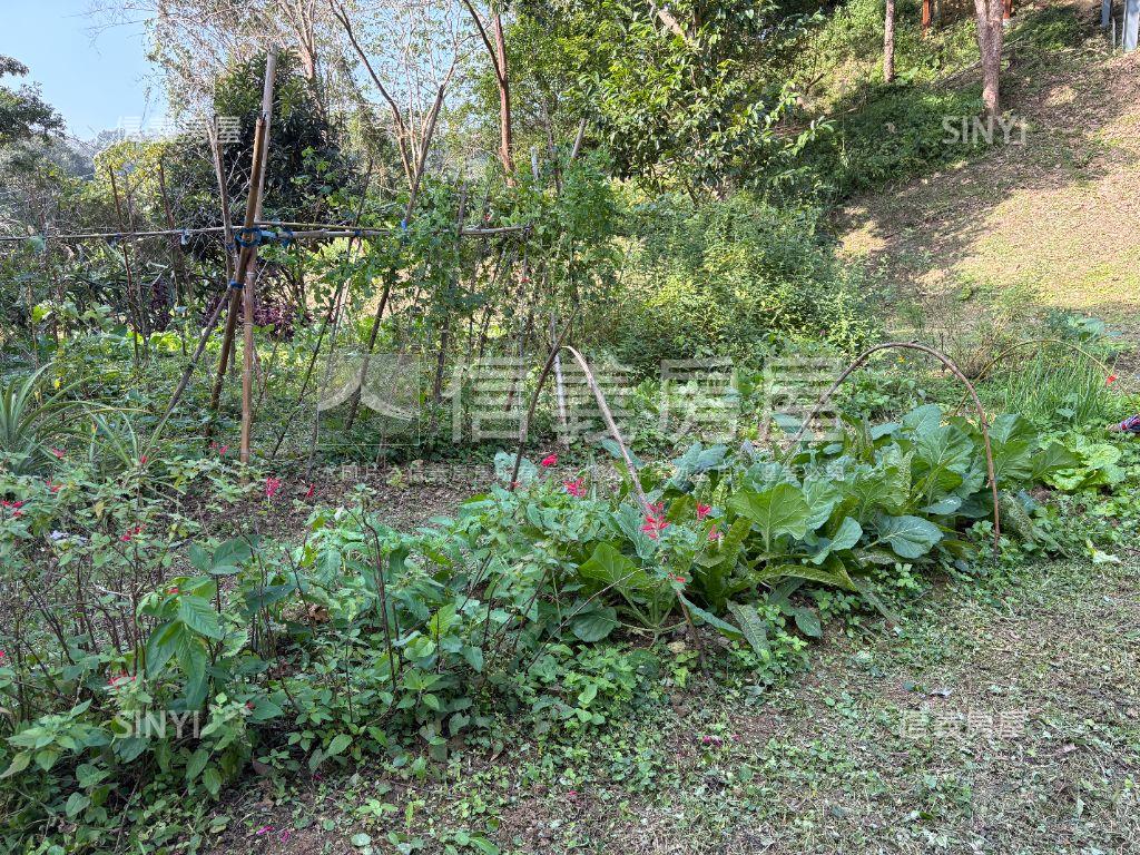 寶山小西湖｜自然環抱寶地房屋室內格局與周邊環境