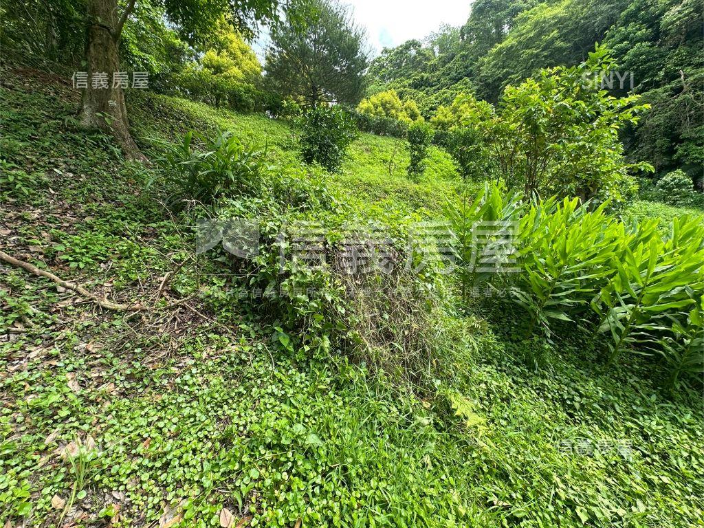寶山小西湖｜自然環抱寶地房屋室內格局與周邊環境