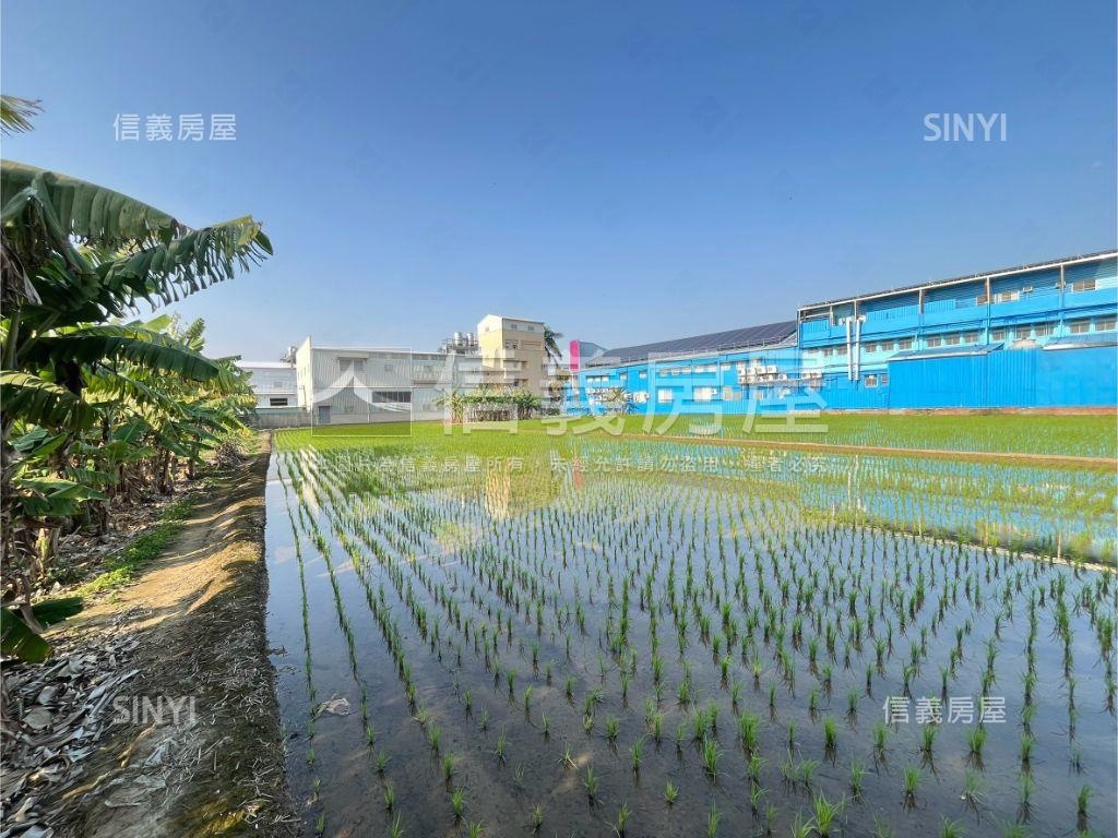 夏田園區●約５００坪農地房屋室內格局與周邊環境