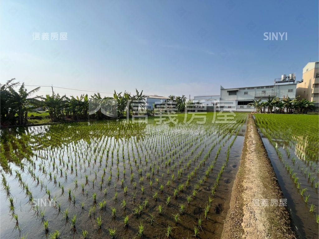 夏田園區●約５００坪農地房屋室內格局與周邊環境