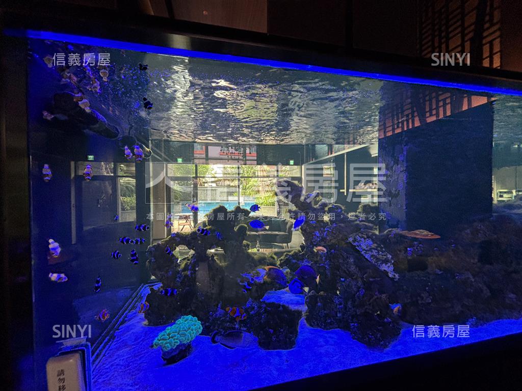 沐微風面寬約９米寬角店房屋室內格局與周邊環境