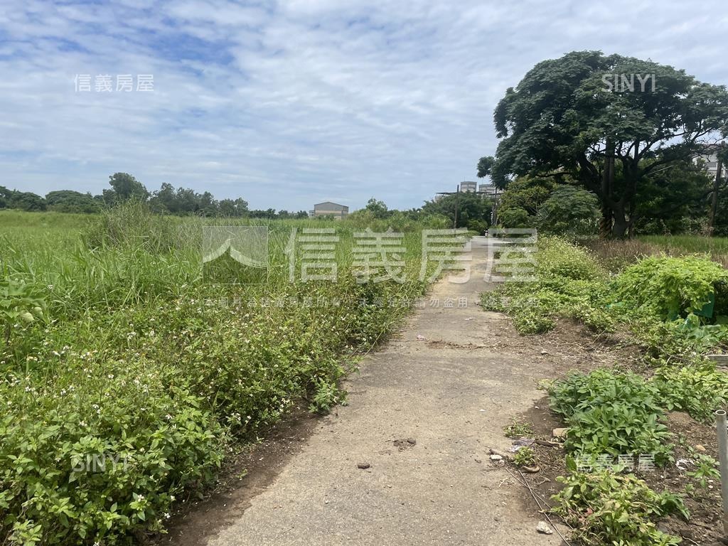 新屋區近台６６便宜農地房屋室內格局與周邊環境