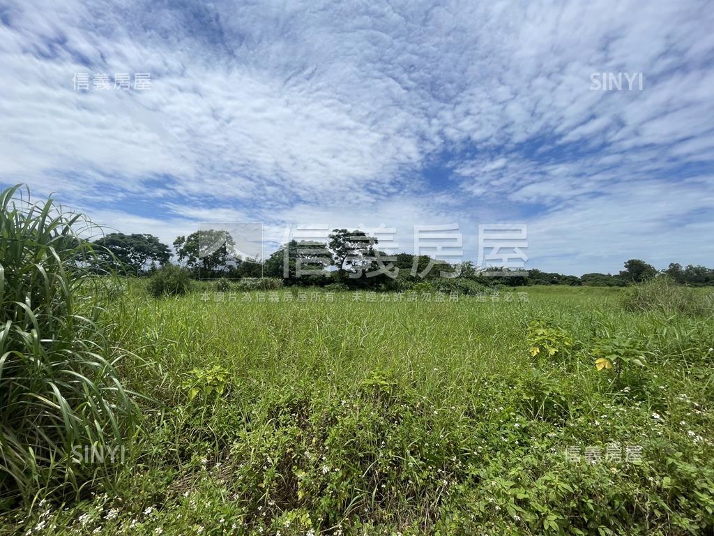 新屋區近台６６便宜農地房屋室內格局與周邊環境