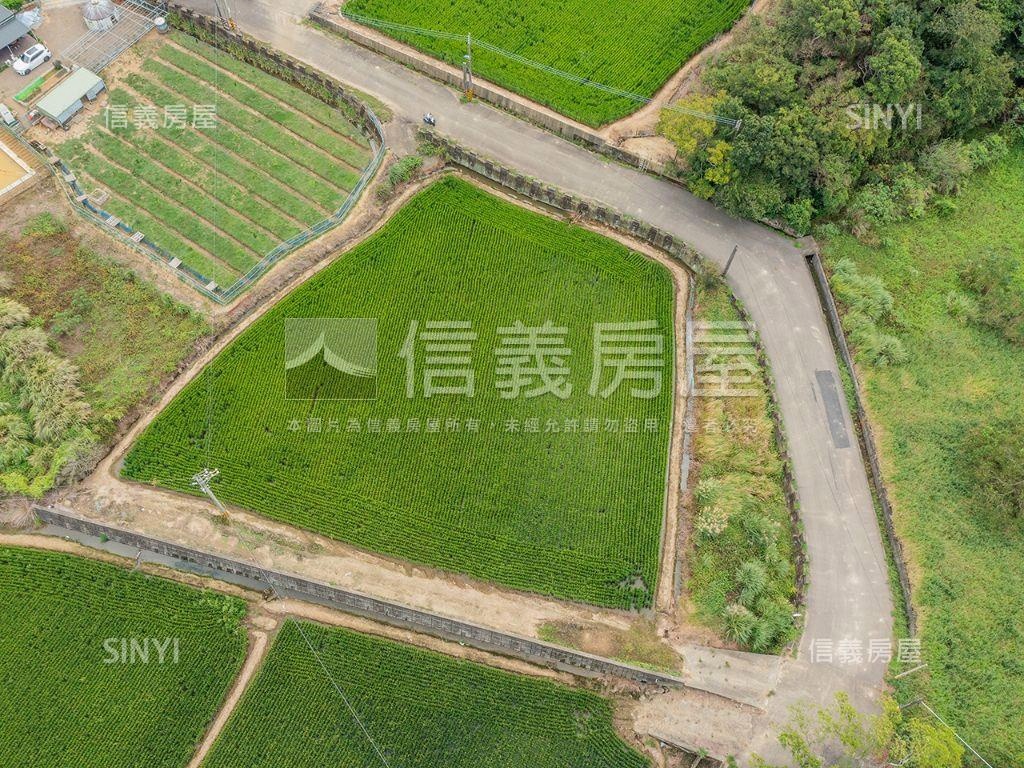 茄苳美農地房屋室內格局與周邊環境