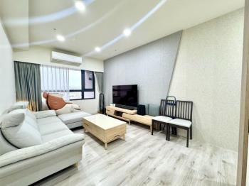 近十五期視野三房大平車