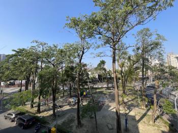 科工館．樹海金雞母