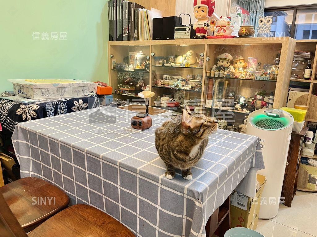 大悅高樓漂亮宅房屋室內格局與周邊環境
