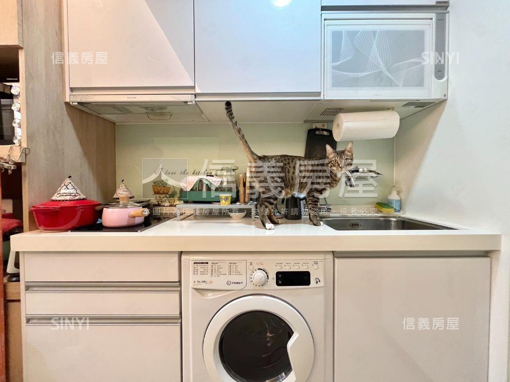 大悅高樓漂亮宅房屋室內格局與周邊環境