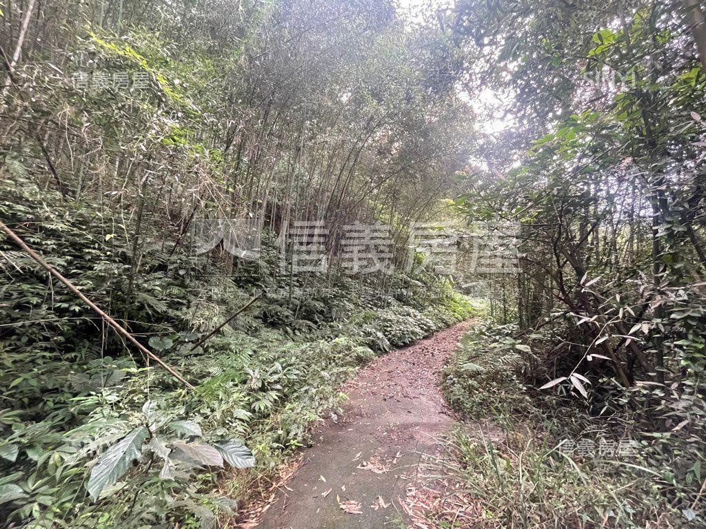 台三線旁獅潭和興土地房屋室內格局與周邊環境
